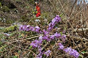 Alle spettacolari Sorgenti dell’Enna da Vedeseta di Val Taleggio l’8 aprile 2019- FOTOGALLERY